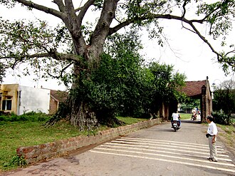 Review Làng Cổ Đường Lâm: Về nơi bình yên tìm lại nét xưa