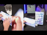 Đánh giá Bàn phím cơ Keychron Q1 Pro: Vị vua Custom không dây phân khúc cao cấp